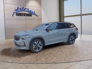 Skoda Kodiaq age.one-day registration Kaufen