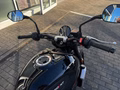 Daumennagel 12 - Triumph Trident 660