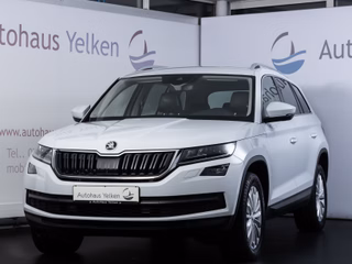 Skoda Kodiaq 2.0 TDI Style 4x4  LED AHK RFK - foto 1