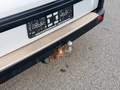 Daumennagel 19 - Renault Trafic Kasten Webasto Standheizung AHK Kamera 8fach Bereift