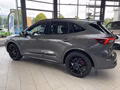 Daumennagel 3 - Ford Kuga FHEV Hybrid ST-Line X Black Package AWD