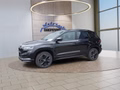 Daumennagel 1 - Skoda Karoq Sportline 1,5TSI DSG 4*J.Gar/aAHK/Matrix/Navi  **