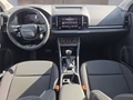 Daumennagel 10 - Skoda Karoq 1,5TSI DSG aAHK/ACC/Kamera/Winterp.