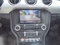 Daumennagel 17 - Ford Mustang GT Fastback aus 1. Hand
