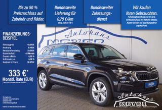 Skoda Kodiaq age.one-day registration Kaufen