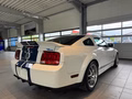 Daumennagel 4 - Ford Mustang Shelby GT 500 SVT