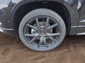 Daumennagel 14 - CUPRA Ateca 1,5TSI DSG 5*J.Gar/AHK/Leder/Navi/el.Klappe  **