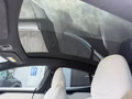 Daumennagel 23 - Tesla Model S Performance  BATTERIE NEU