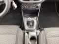Daumennagel 11 - Ford Fiesta 1.0 EcoBoost S&S TITANIUM Winter-Paket