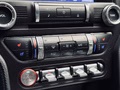 Daumennagel 33 - Ford Mustang Mach 1 MagneRide StylingPaket