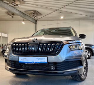 Skoda Kamiq Gebrauchtwagen Kaufen
