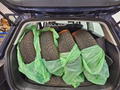 Daumennagel 6 - Volkswagen Golf Variant Golf VII Variant BlueMotion Technology