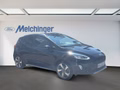 Daumennagel 2 - Ford Fiesta Active Plus