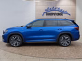 Daumennagel 2 - Skoda Kodiaq Sportline 1,5TSI aAHK/7-Sitzer/Pano/Matrix/Navi   **