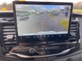 Daumennagel 11 - Ford Transit 350 L4 VA Trend Kofferaufbau Junge