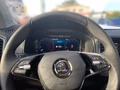 Daumennagel 8 - Skoda Karoq 2.0 TDI Tour Matrix, Kessy, Panorama