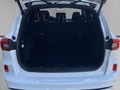 Daumennagel 10 - Ford Kuga Plug-In Hybrid ST-Line X