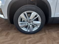 Daumennagel 15 - Skoda Karoq 1,5TSI DSG aAHK/ACC/Kamera/Winterp.