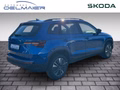 Daumennagel 3 - Skoda Karoq Balance