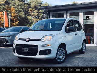 Fiat Panda CITY LIFE 1.2+Klima+1.Hand+erst 28Tkm+ZV+