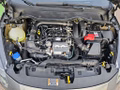 Daumennagel 15 - Ford Fiesta 1.0 EcoBoost S&S TITANIUM Winter-Paket