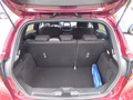 Daumennagel 9 - Ford Fiesta ST-Line