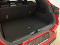 Daumennagel 5 - Ford Puma ST-Line + Fahrerassistenz + AHK