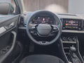Daumennagel 12 - Skoda Karoq 1,5TSI DSG 18*Alu/aAHK/ACC/Kamera/Winterp.       **