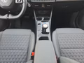 Daumennagel 11 - MG 3 Luxury 1,5 Hybrid+ 197PS Navi/LED/360°Kamera/Keyless  **