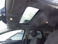 Daumennagel 19 - Ford Mondeo Turnier Business Edition