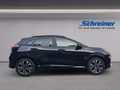 Daumennagel 6 - Ford Puma ST-Line