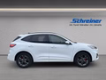 Daumennagel 6 - Ford Kuga Plug-In Hybrid ST-Line X