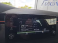 Daumennagel 41 - Skoda Kamiq Monte Carlo 1,5TSI DSG 4*J.Gar/AHK/18*Alu/el.Klappe **