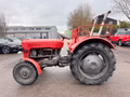 Daumennagel 9 - Massey Ferguson MF 30 TÜV 08/28 AHK Zugmaschine Traktor