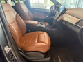 Daumennagel 12 - Mercedes-Benz GLE 350 d 4Matic*Panorama