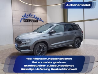 Skoda Karoq age.one-day registration Kaufen