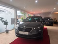 Thumbnail 3 - Skoda Karoq 1.6 TDI Style