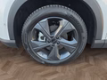 Daumennagel 15 - BAIC Baic Beijing X55 Luxury 19*Alu/Pano/Leder/el.Klappe   **