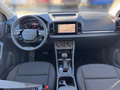 Daumennagel 10 - Skoda Karoq Balance