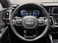 Daumennagel 31 - Kia Sorento Platinum 4WD Plug-In, PANO, 360°,ACC