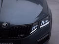 Daumennagel 7 - Skoda Octavia Combi RS 245 /COLUMB/VIRTUAL/ACC/AHK/RFK