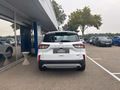 Daumennagel 7 - Ford Kuga Plug-In Hybrid Titanium - Fahrer Assist. Paket - Winter P. - Top
