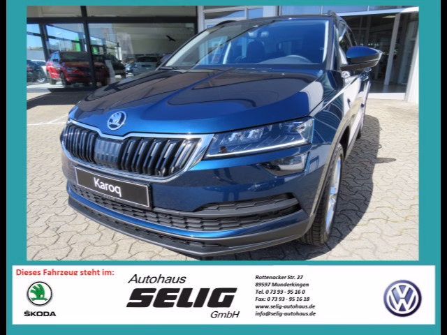 Skoda Karoq 1.6 TDI 7-Gang DSG Style, ACC, Navi, LED, AHK, ...