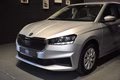 Daumennagel 5 - Skoda Fabia Active/Car Pay/Navi/1 Hand