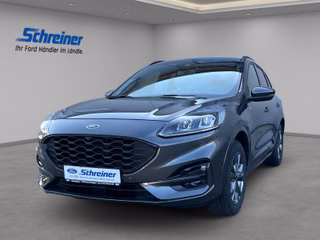 Ford Kuga Gebrauchtwagen Kaufen