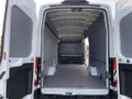 Daumennagel 6 - Ford Transit 350 L4H3 Lkw HA Trend Trennwand Metall