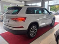Daumennagel 14 - Skoda Kodiaq Tour  AHK/CAR-PLAY