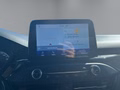 Daumennagel 15 - Ford Focus ST Styling-Paket