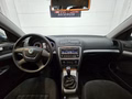 Daumennagel 9 - Skoda Octavia Combi Ambition 4X4 TDi 4x4 Xenon Tempomat