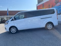 Daumennagel 2 - Ford Tourneo Custom L2 Titanium RFK + Bi-Xenon
